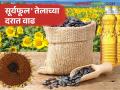 बाजारात 'सूर्यफूल' तेलाचा बसणार चटका; 'रशिया'ने निर्यात शुल्कात केली वाढ - Marathi News | Sunflower oil will be a hit in the market; Russia increases export duty | Latest agriculture News at Lokmat.com
