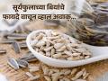 कॉलेस्ट्रोल कमी करण्यासाठी खा सूर्यफुलाच्या बीया, फायदे वाचून व्हाल अवाक्... - Marathi News | Eat sunflower seeds to reduce cholesterol, read the benefits of its | Latest health News at Lokmat.com