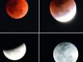 अकोला शहरातून असे दिसले चंद्र ग्रहण! - Marathi News | lunar eclipse from Akola city | Latest akola Photos at Lokmat.com