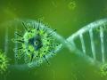 CoronaVirus : दुसऱ्या लाटेत ‘सुपर स्प्रेडर’ व्यक्तींवर राहणार विशेष लक्ष! - Marathi News | CoronaVirus: In the second wave, special attention will be paid to 'super spreader' people! | Latest akola News at Lokmat.com