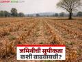 जमीन क्षारपट झाली आहे, सामू वाढला आहे, सुपीकता कशी वाढवायची, हे आहेत पाच सोपे उपाय - Marathi News | Latest news agriculture News How to Enhance Soil Fertility Here Are Some Simple Methods | Latest agriculture News at Lokmat.com
