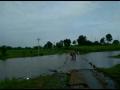 वाशिममधील सुरकंडी लघूप्रकल्प पावसामुळे तुडूंब भरला - Marathi News | heavy rain in vashim | Latest vashim Videos at Lokmat.com
