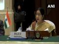 ...म्हणून भारताने पाकिस्तानवर हवाई हल्ला केला - सुषमा स्वराज - Marathi News | eam sushma swaraj says it was not a military operation no military installation targeted in pakistan | Latest international News at Lokmat.com