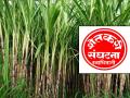 उसाला दर हवा; शेतकऱ्यांनो जरा थांबा; ‘स्वाभिमानी’चे आवाहन  - Marathi News | If the sugarcane wants a price, the farmers should wait a little, Appeal of Swabhimani Farmers Association | Latest satara News at Lokmat.com