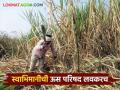 स्वाभिमानी ऊस परिषदेची तारीख ठरली काय असतील प्रमुख मागण्या वाचा सविस्तर - Marathi News | The date of Swabhimani us Parishad has been decided, what will be the main demands, read in detail | Latest agriculture News at Lokmat.com