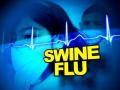 नागपूर विभागात स्वाईन फ्लूमध्ये आणखी पाच रुग्णांची भर - Marathi News | Five more patients of the swine flu were admitted in the Nagpur division | Latest nagpur News at Lokmat.com
