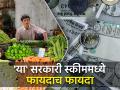 PM SVANidhi scheme: ७ टक्के व्याजावर लोन, ₹१२०० चा कॅशबॅक; 'या' सरकारी स्कीममध्ये फायदाच फायदा - Marathi News | Loan at 7 percent interest cashback of rs 1200 Benefit in PM SVANidhi scheme government | Latest business News at Lokmat.com