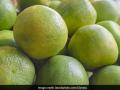 माेसंबीने केले शेतकऱ्यांना आनंदी - Marathi News | Sweet lime made the farmers happy | Latest chhatrapati-sambhajinagar News at Lokmat.com