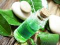 त्वचेच्या समस्या असतील अनेक, पण उपाय एक टी ट्री ऑइल!  - Marathi News | Know what is tea tree oil? what is benefits for beauty | Latest beauty News at Lokmat.com