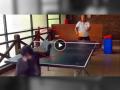 Chimpanzee Table Tennis Video: चिंपांझीला कधी टेबल टेनिस खेळताना पाहिलंय का? पाहा धमाल व्हिडीओ - Marathi News | viral video chimpanzee playing table tennis also winning the game with amazing smash you will be stunned | Latest social-viral News at Lokmat.com
