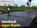 आदिवासी लाभार्थ्यांना ताडपत्रीसाठी 85 टक्के अनुदान; असा करा अर्ज! - Marathi News | Latest News 85 percent subsidy for tarpaulin to tribal beneficiaries see details | Latest agriculture News at Lokmat.com