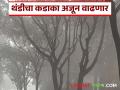 राज्यात थंडीचा मुक्काम वाढला; अजून किती दिवस राहणार थंडीचा कडाका? - Marathi News | Cold weather has increased in the state; How many more days will the cold weather persist? | Latest agriculture News at Lokmat.com