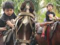 तैमुरचे घोडस्वारीचे फोटो पाहिले का? - Marathi News | Kareena Kapoor's son Taimur enjoys a horse ride | Latest filmy Photos at Lokmat.com