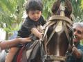 तैमुरचे घोडस्वारीचे फोटो पाहिले का? - Marathi News | Kareena Kapoor's son Taimur enjoys a horse ride | Latest filmy Photos at Lokmat.com