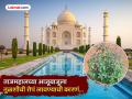 ताजमहालच्या चारही बाजूला का लावण्यात आली तुळशीची भरपूर रोपं? कारण वाचून व्हाल अवाक्... - Marathi News | Why tulsi plant planted all around the taj mahal know the reason | Latest jarahatke News at Lokmat.com