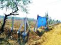 ज्याच्या नाही ललाटी, तो करी तलाठी - Marathi News |  Whose no light, curry tatala | Latest vasai-virar News at Lokmat.com