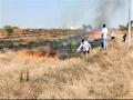 जंगलास आग लागून हजारो झाडे बेचिराख - Marathi News | Thousands of trees were set on fire | Latest ahilyanagar News at Lokmat.com