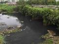 तळोजा नदी प्रदूषण; अधिकाऱ्यांवर गुन्हा - Marathi News | Taloja river pollution; Offense on Officials | Latest navi-mumbai News at Lokmat.com