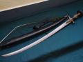 ‘मराठा तलवारी’ने केला कुलकर्णीचा पर्दाफाश! - Marathi News | Kulkarni busted with 'Maratha sword'! | Latest thane News at Lokmat.com