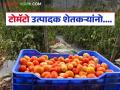 पिंपळगाव बसवंत मार्केटमध्ये टोमॅटो उत्पादकांची फसवणूक, वाचा सविस्तर  - Marathi News | Latest News Agriculture News Tomato growers cheated in Pimpalgaon Baswant tamate Market, read in detail | Latest agriculture News at Lokmat.com