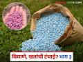 Kharif Season : खरीपाआधीच टंचाईचे संकट; वेळेवर पेरणी होणार का? वाचा सविस्तर - Marathi News | latest news Kharif Season: Shortage crisis before Kharif; Will sowing be done on time? Read in detail | Latest agriculture News at Lokmat.com