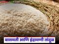 बासमती आणि इंद्रायणी तांदूळ कुठे पिकवला जातो, या दोन्हीत फरक काय, वाचा सविस्तर  - Marathi News | Latest news Basmati and Indrayani rice grown, what is difference between them, read in detail | Latest agriculture News at Lokmat.com