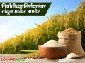 Rice Market Update : निर्यात बंदी हटवली, देशांतर्गत बाजारपेठांमध्ये तांदळाला काय बाजारभाव मिळतोय?  - Marathi News | Latest News Rice Market Update Export ban removed see market price in domestic markets | Latest agriculture News at Lokmat.com