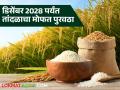 Agriculture News : डिसेंबर 2028 पर्यंत तांदळाचा मोफत पुरवठा सुरु राहणार, केंद्रीय मंत्रिमंडळाची मंजुरी - Marathi News | Latest News Agriculture News Free supply of rice will continue till December 2028, approval of the Union Cabinet | Latest agriculture News at Lokmat.com