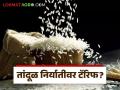 Rice Tariff Line : 01 मेपासून तांदळाच्या निर्यातीवर नवीन टॅरिफ लाईन लागू करणार, वाचा सविस्तर  - Marathi News | Latest News Gi Tag rice tariffs New tariff line to be implemented on rice exports, read in detail | Latest agriculture News at Lokmat.com