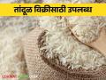 Agriculture News : तांदळाचा 20 हजार मेट्रिक टन साठा उपलब्ध, खरेदीसाठी नोंदणी आवश्यक, वाचा सविस्तर  - Marathi News | Latest News Available for domestic sale of rice through open market sale scheme read details  | Latest agriculture News at Lokmat.com