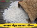 Rice Market : पावसामुळे भाताच्या उत्पादनावर परिणाम, तांदळाला काय भाव मिळतोय? - Marathi News | Latest News Rice Market Effect on rice production due to rain, see live price Of rice for 1 kg | Latest agriculture News at Lokmat.com
