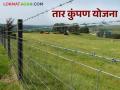 Tar Kumpan Yojana : पिकांचे संरक्षण करण्यासाठी उपयुक्त 'तार कुंपण योजना' वाचा सविस्तर माहिती - Marathi News | Tar Kumpan Yojana : Read detailed information about 'Tar Kumpan Yojana' useful for protecting crops | Latest agriculture News at Lokmat.com