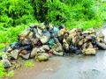तारापूर एमआयडीसीतील घनकचरा रस्त्यावर - Marathi News | On solid roads in Tarapur MIDC road | Latest vasai-virar News at Lokmat.com