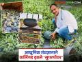 Farmer Success Story : ६० दिवसांत कमावले सहा लाख रुपये; कल्याण कुलकर्णी यांच्या यशस्वी शेतीचा प्रयोग वाचा सविस्तर - Marathi News | Farmer Success Story: Earned six lakh rupees in 60 days; Read Kalyan Kulkarni's successful farming experiment in detail | Latest agriculture News at Lokmat.com