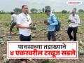 अवकाळी पावसाच्या तडाख्याने ४ एकरवरील टरबूज सडले; नुकसानीने शेतकऱ्याचे स्वप्न भंगले - Marathi News | Unseasonal rains rot watermelons on 4 acres; farmer's dream shattered by loss | Latest beed News at Lokmat.com