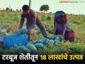 टरबूज शेती ठरली फायदेशीर, सव्वाचार एकरांतून तब्बल 18 लाखांचे उत्पन्न, कसं केलं नियोजन  - Marathi News | Watermelon farming turned out to be profitable, income of 18 lakhs from four and a half acres, how was the planning done? | Latest agriculture News at Lokmat.com