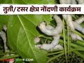 Agriculture News : तुती लागवड व टसर रेशीम लाभार्थ्यांच्या नोंदणीसाठी आवाहन, वाचा सविस्तर  - Marathi News | Latest News Appeal for registration of mulberry cultivation and tussar silk beneficiaries, read in detail | Latest agriculture News at Lokmat.com