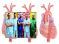 एकही टाका न लावता केले ‘व्हॉल्व्ह रिप्लेसमेंट’; ‘टावी’ प्रक्रियेने वृद्धाला मिळाले जीवनदान - Marathi News | 'Valve replacement' done without a stitch; 'Tawi' procedure gave life to the old man | Latest nagpur News at Lokmat.com