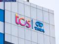 TCS मध्ये किती कर्मचारी काम करतात? फ्रेशर्स आणि अनुभवी कर्मचाऱ्यांना किती पगार मिळतो? - Marathi News | How many employees work in TCS? How much salary do freshers and experienced employees get? See... | Latest business News at Lokmat.com