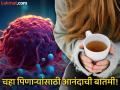कॅन्सरचा धोका कमी करतो गरमागरम चहा, पण रोज किती चहा पिणं फायदेशीर? - Marathi News | Tea and coffee can prevent head and neck cancer risk | Latest health News at Lokmat.com