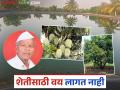 शेतीसाठी वय नव्हे हवी चिकाटी; ७० वर्षाचे शेतकरी विष्णुपंत यांनी १२ एकरवर फुलवली फळपिकांची शेती - Marathi News | Farming requires perseverance, not age; 70-year-old farmer Vishnupant flourishes fruit farming on 12 acres | Latest agriculture News at Lokmat.com