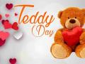 आज ‘टेडी डे’: ऑनलाइन युगात प्रेमाची साजरी-गोजिरी भेट ‘टेडी’ - Marathi News | Vallentine Week : Today is Teddy Day | Latest akola News at Lokmat.com