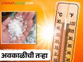 एकीकडे गारपीट तर दुसरीकडे सहन न होणारा उकाडा कशामुळे? - Marathi News | What causes hail on one side and unbearable heat on the other? | Latest agriculture News at Lokmat.com