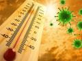 Coronavirus survives even at 60 degrees Celsius; Scientists claim - Hindi News | Coronavirus survives even at 60 degrees Celsius; Scientists claim | Latest health Photos at Lokmattimes.com