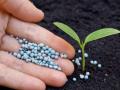 पिकांसाठी खत वापराची दशसूत्री - Marathi News | Ten rules of Fertilizer Use for Crops | Latest akola News at Lokmat.com
