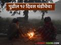 Maharashtra Cold Weather : येत्या दर्शवेळ अमावस्यापर्यंत थंडी, वाचा कुठे-कुठे अतितीव्र थंडीची लाट - Marathi News | Latest news Cold weather is expected till next Amavasya, read about extreme cold wave in few District of maharashtra | Latest agriculture News at Lokmat.com