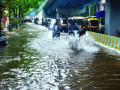 पावसाची अन् मतांचीही जोरधार - Marathi News | Rains and votes too | Latest thane News at Lokmat.com