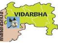 विदर्भाचा कृषी दर सुधारेल काय? - Marathi News |  Will the agricultural rate of Vidarbha improve? | Latest akola News at Lokmat.com