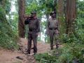 वनक्षेत्रपाल, सहायक वनसंरक्षकांच्या नियुक्तीवर विधानसभेत प्रश्न - Marathi News | The question in the Legislative Assembly on the appointment of Forest Territory, Assistant Forest Guard | Latest amravati News at Lokmat.com