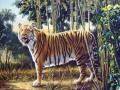 Optical Illusion: या फोटोत आहेत दोन वाघ, तुम्हाला दुसरा दिसला का? भलेभले शोधून थकले... - Marathi News | Optical illusion : There are two tigers in this picture do you see the other | Latest social-viral News at Lokmat.com